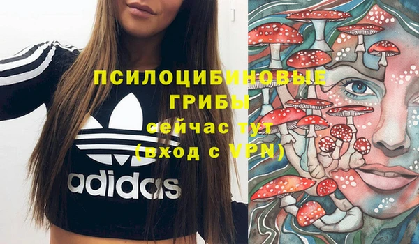 бошки Богородск
