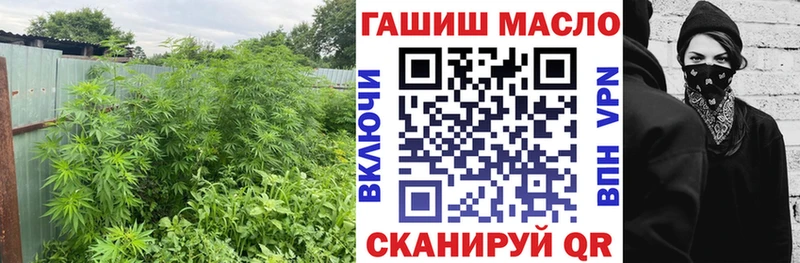 гидра tor  Дятьково  Дистиллят ТГК жижа 