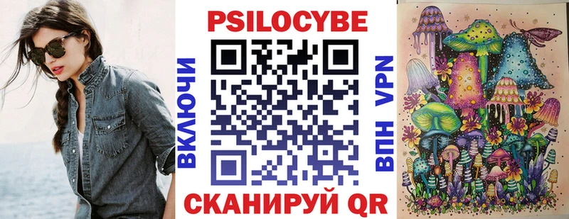 дарк нет клад  Дятьково  Псилоцибиновые грибы GOLDEN TEACHER 